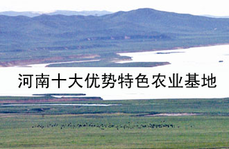 8月19日，河南省政府發(fā)布了關(guān)于深入推進農(nóng)業(yè)供給側(cè)結(jié)構(gòu)性改革 大力發(fā)展優(yōu)勢特色農(nóng)業(yè)的意見