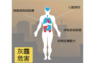 空氣中PM2.5 是由什么物質(zhì)組成的？