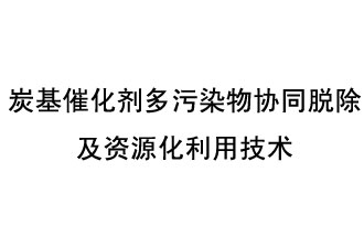 炭基催化劑多污染物協(xié)同脫除及資源化利用技術