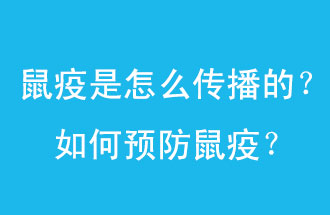 鼠疫是怎么傳播的？如何預(yù)防鼠疫？